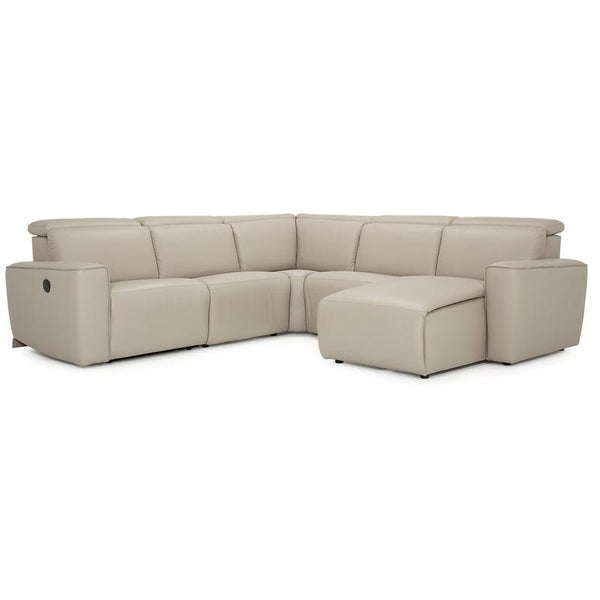 Palliser Power Reclining Leather Sectional 41638-19/41638-70/41638-70/41638-7P/41638-56-COLORADO-MIST IMAGE 1