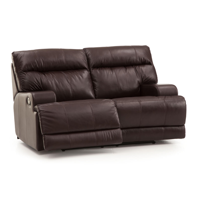 Palliser Lincoln Reclining Leather Loveseat 41027-53-BRONCO-STEER IMAGE 1