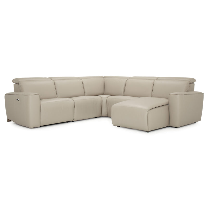 Palliser Springfield Power Reclining Leather 5 pc Sectional 41638-7P/41638-2P/41638-19/41638-2P/41638-56-COLORADO-MIST IMAGE 1