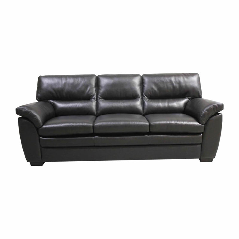 Palliser Yasmin Stationary Leather Sofa 77100-01-VALENCIA-INK IMAGE 2