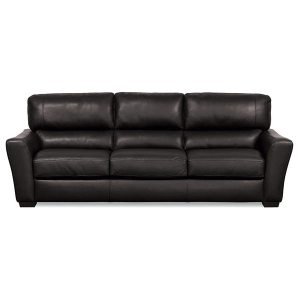 Palliser Teague Stationary Leather Match Sofa 77888-01-GRADE300-RAVEN IMAGE 1