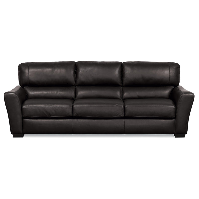 Palliser Teague Stationary Leather Match Sofa 77888-01-GRADE300-RAVEN IMAGE 1