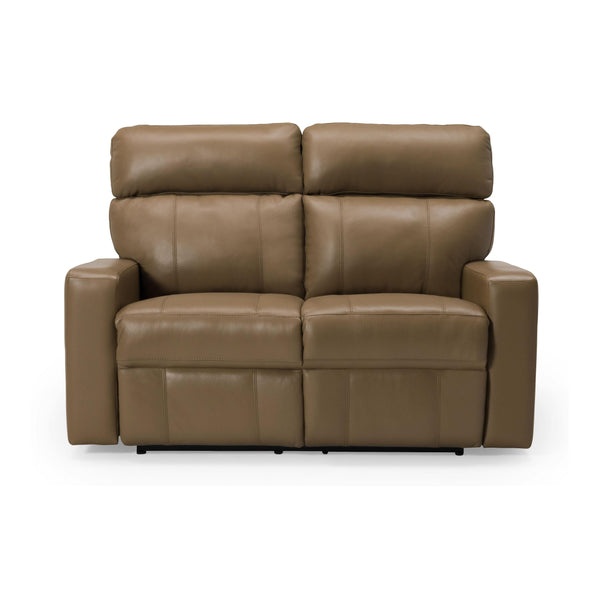 Palliser Oakwood Power Reclining Leather Match Loveseat 41049-63-VALENCIA-DUNE-MATCH IMAGE 1