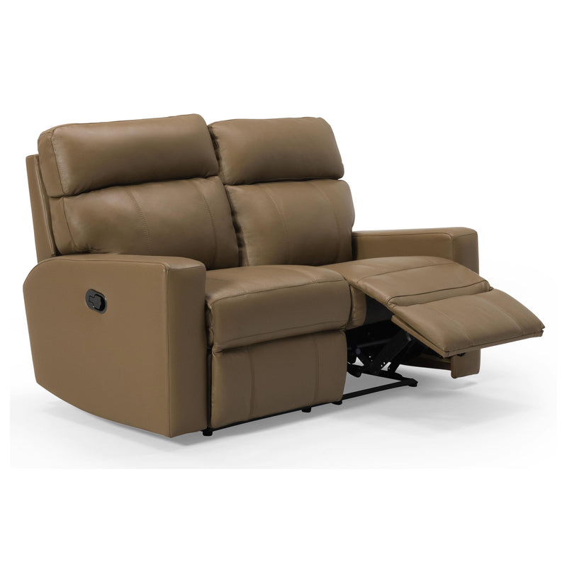 Palliser Oakwood Power Reclining Leather Match Loveseat 41049-63-VALENCIA-DUNE-MATCH IMAGE 5