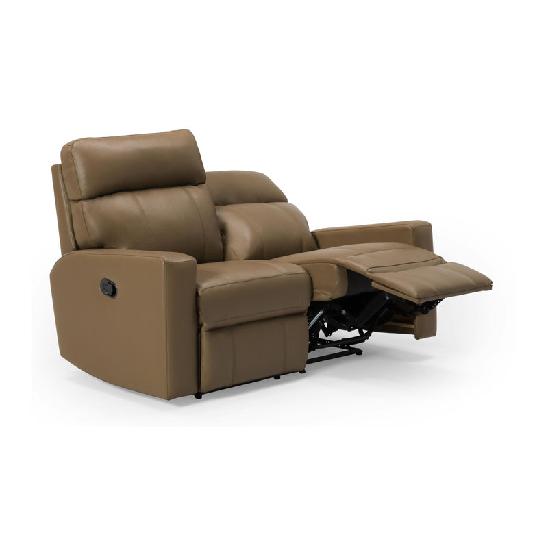 Palliser Oakwood Power Reclining Leather Match Loveseat 41049-63-VALENCIA-DUNE-MATCH IMAGE 6