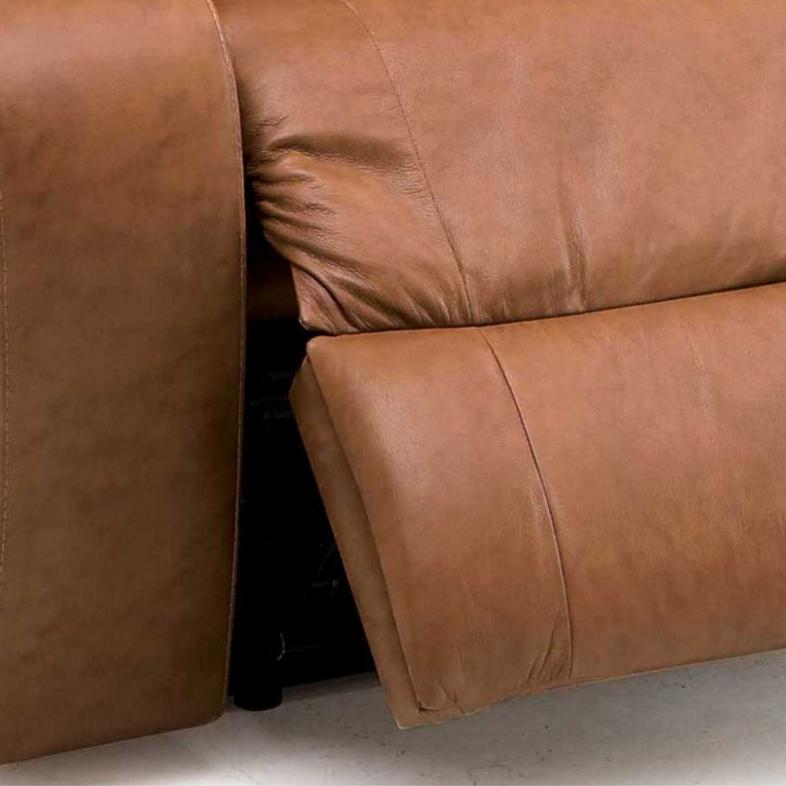 Palliser Dugan Reclining Leather Sofa Dugan 41012-51 Reclining Sofa IMAGE 4