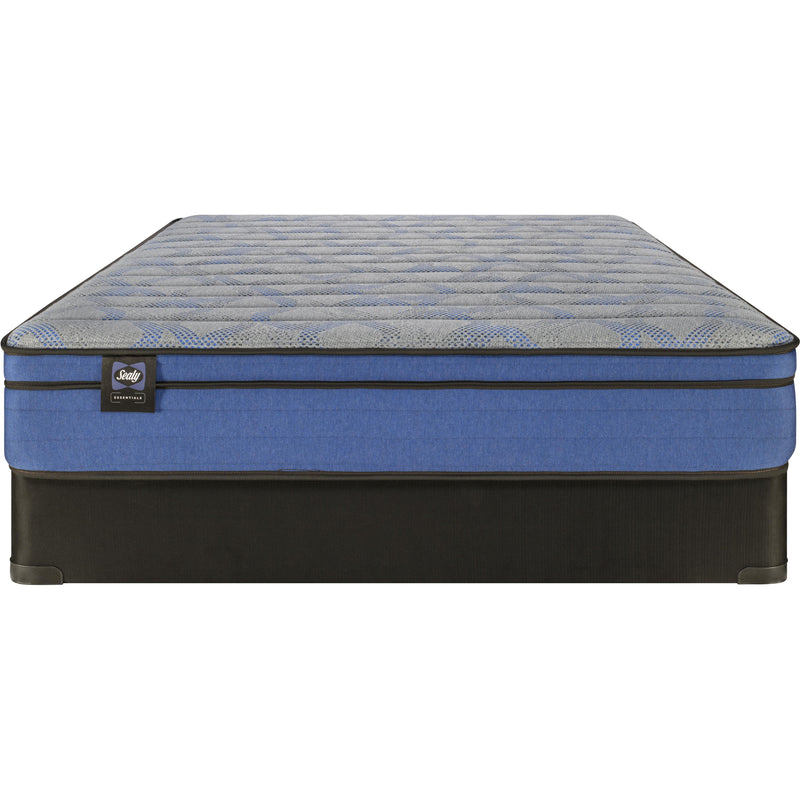 Sealy Rae Firm Euro Top Mattress (Queen) IMAGE 6